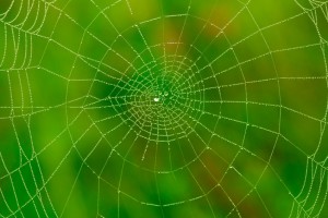 web